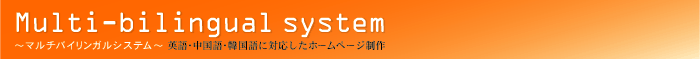 �}���`�o�C�����K���V�X�e��